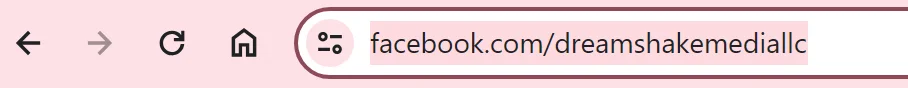 qr code url search